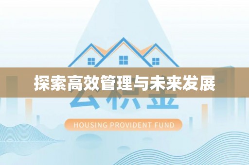 灯塔探索高效管理与未来发展